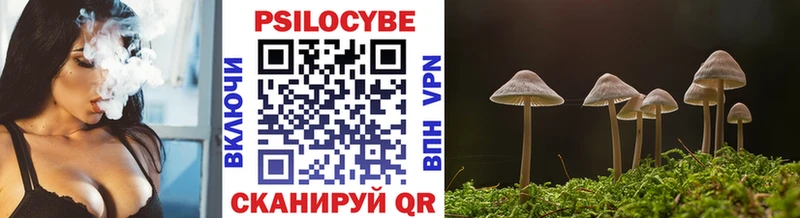 Галлюциногенные грибы мицелий  Купить закладки  Нурлат 