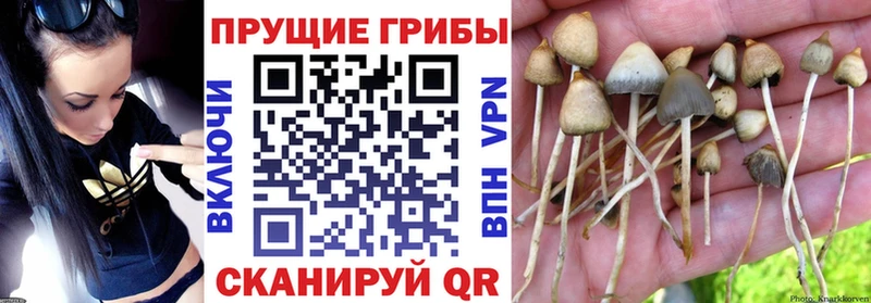 Псилоцибиновые грибы ЛСД Нурлат